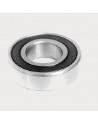 Rear wheel bearing